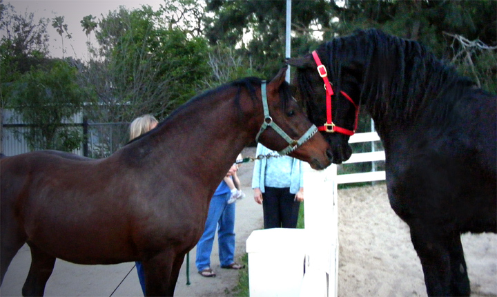 Getting acquainted with the neighbors..and God Bless Sherry !!!