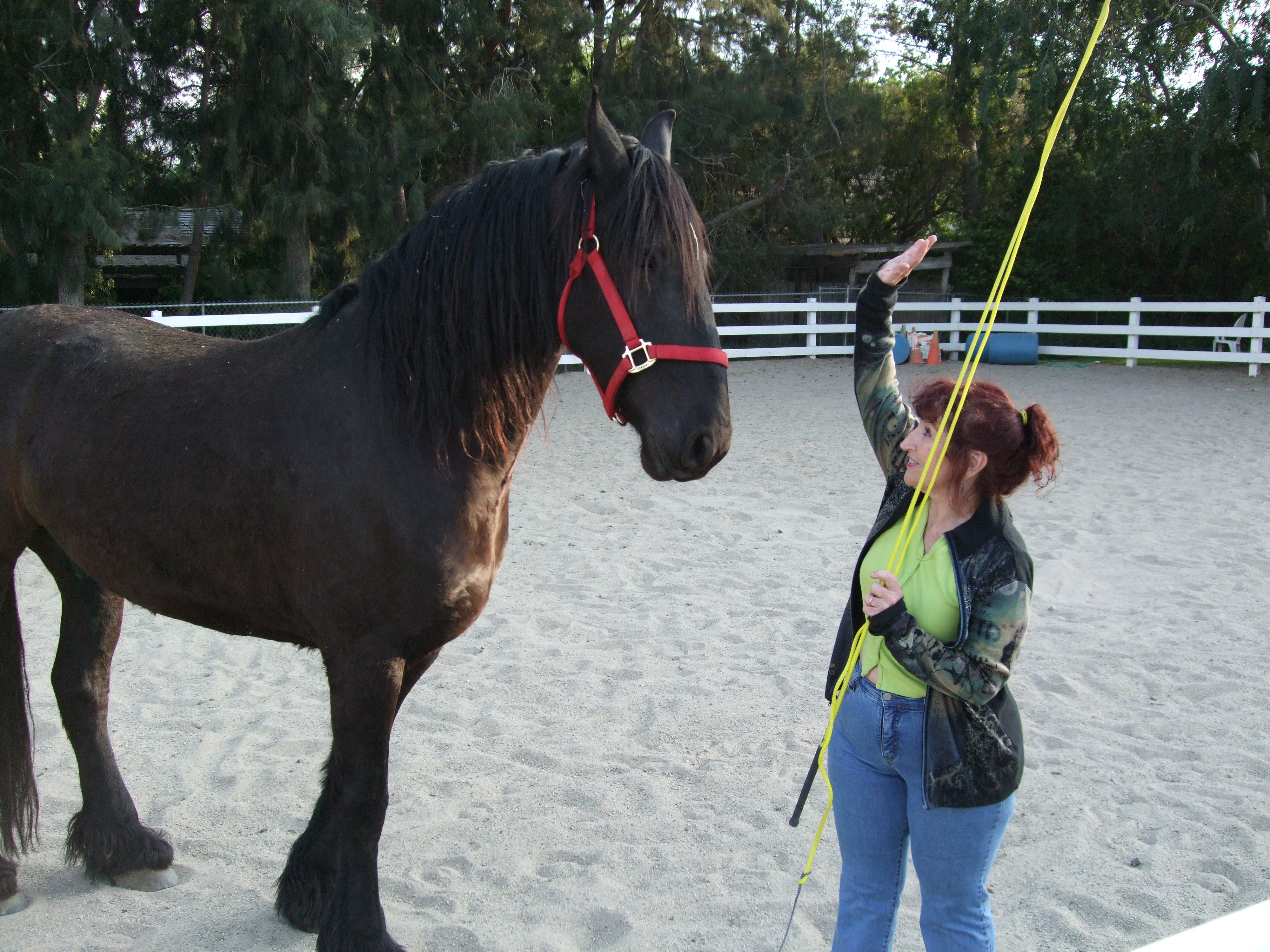 Harkos, High Five..er..One