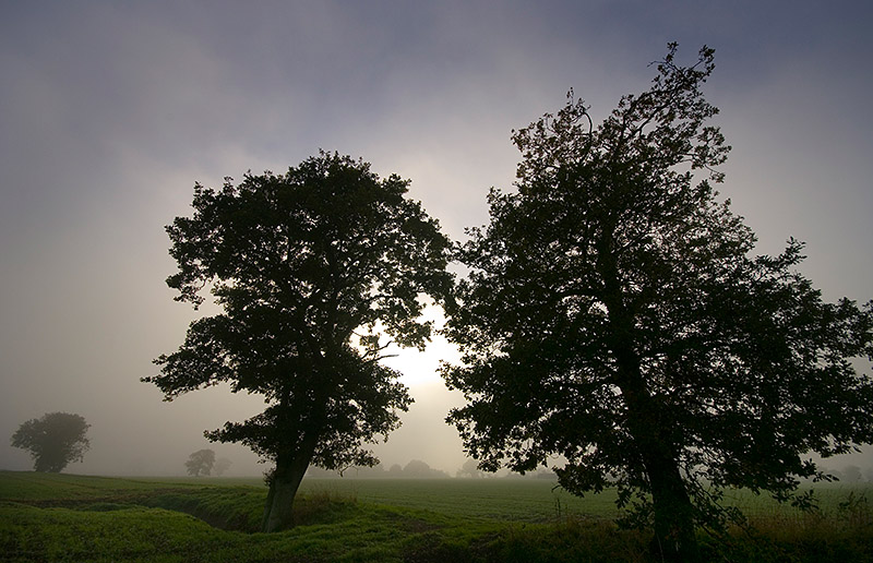 1st place: Misty evening by jono slack