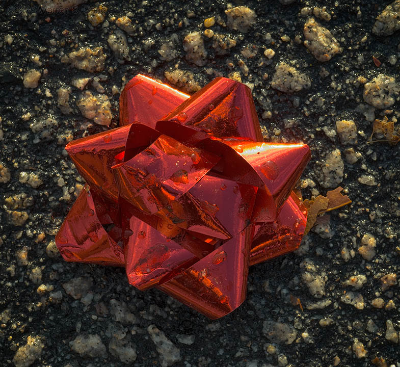 A Bauble for Jono by Warren Sarle