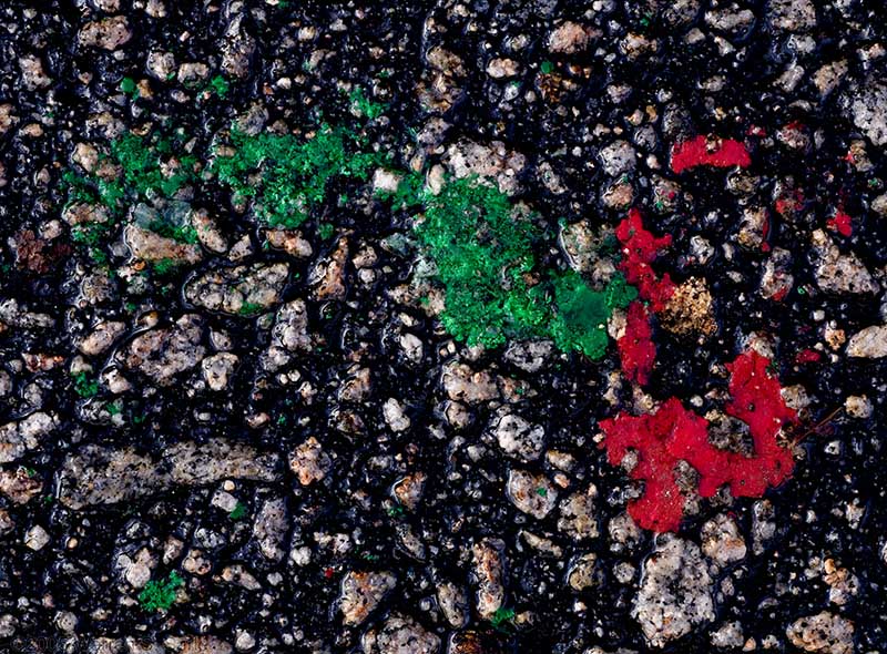 Red and Green Stuff by Warren Sarle