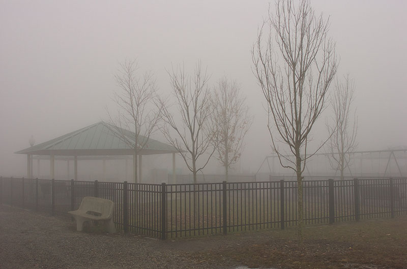 dreaming of a foggy x-mas by Peter Halperin