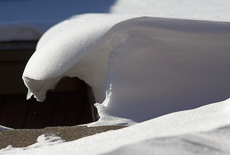 Snow Angles  by David Fink