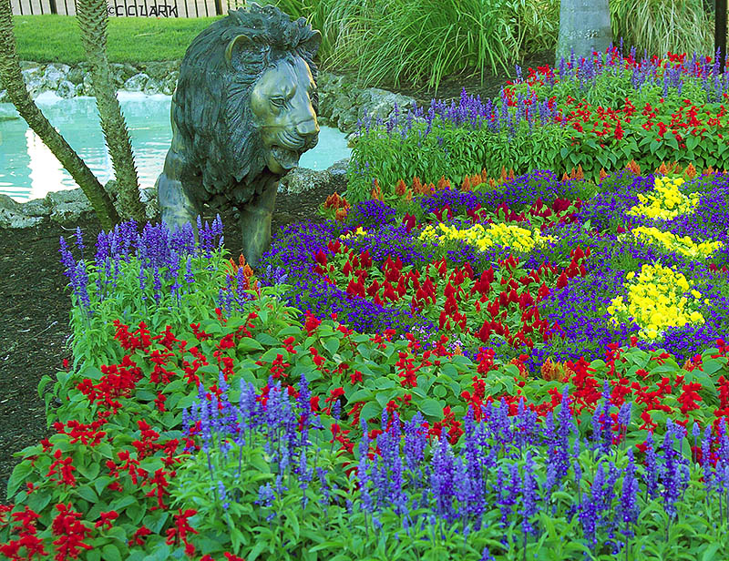 Bush Gardens.jpg