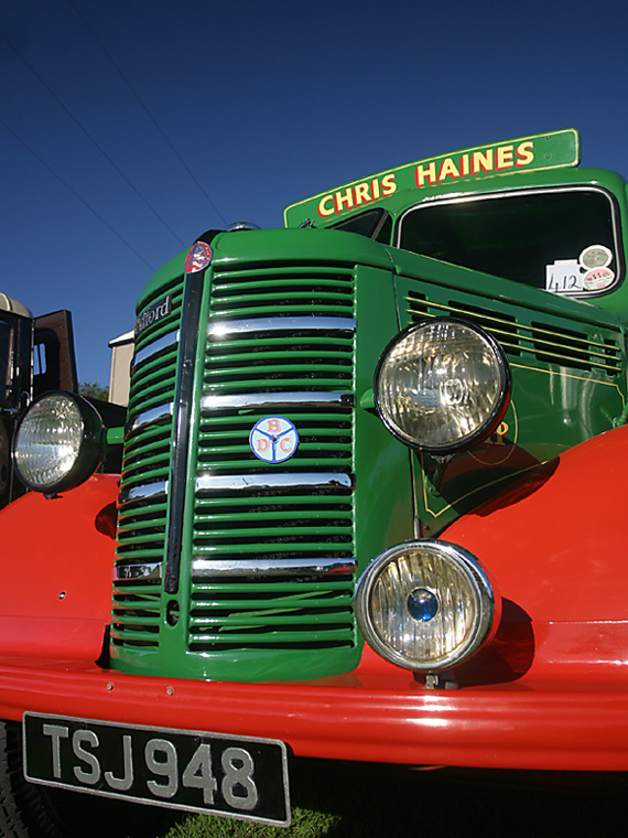 Multi-Coloured Bedford <br> by Ray Pettit