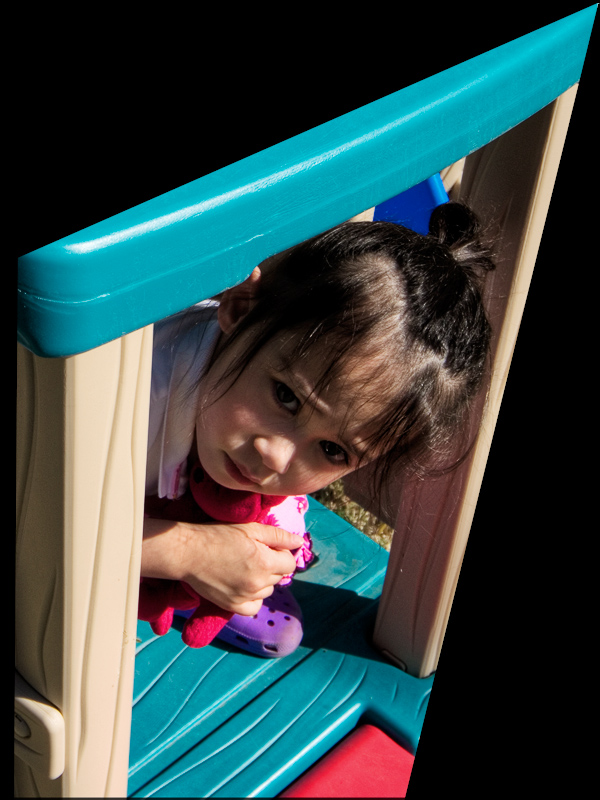 Playhouse by Albert Yanowich Jr.