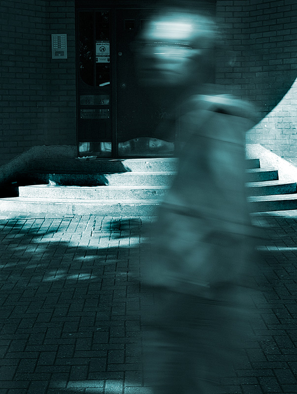 A Passing Geek by Flick Merauld