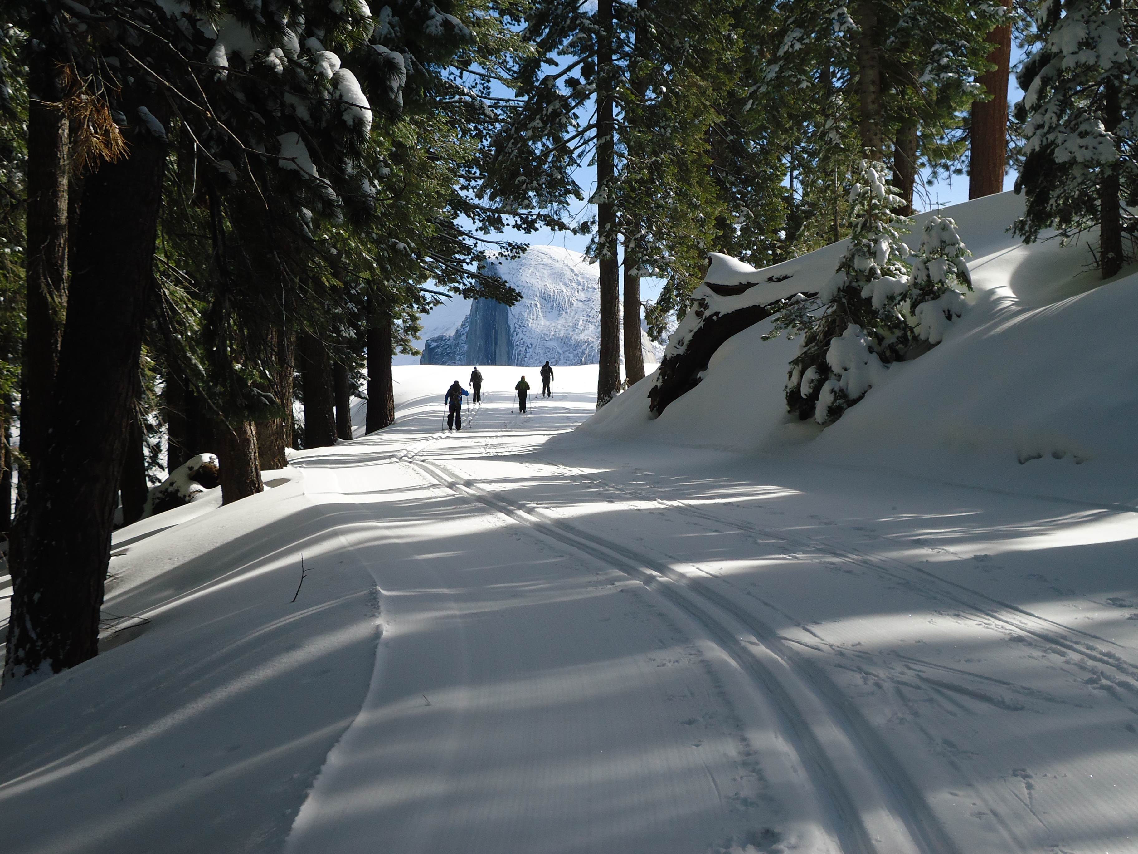 half dome in view a