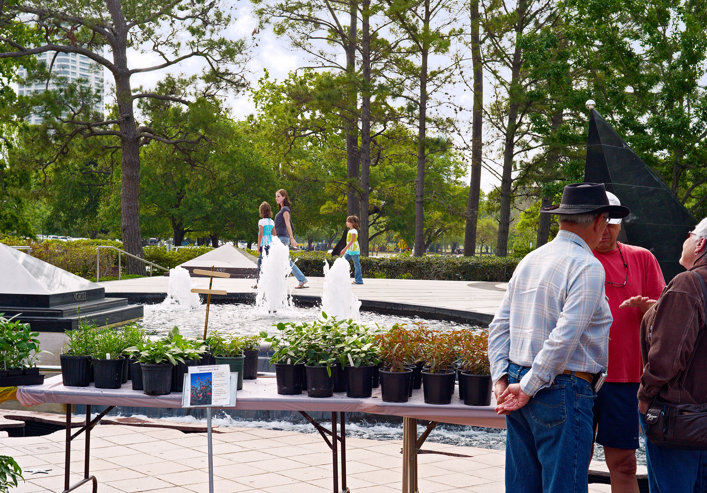 Biannual Butterfly Plant sale HMNS 01
