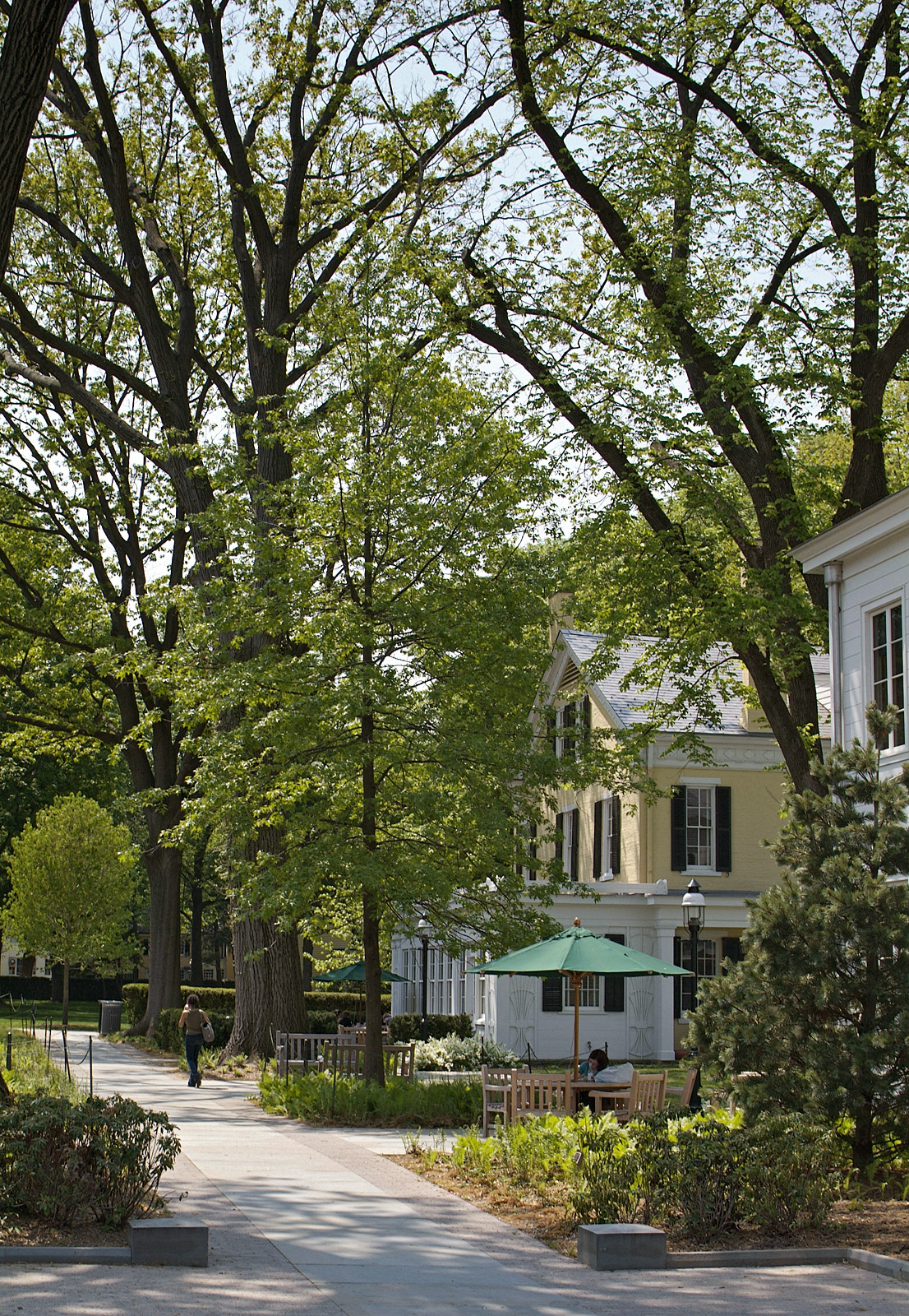 Princeton campus strollers 02