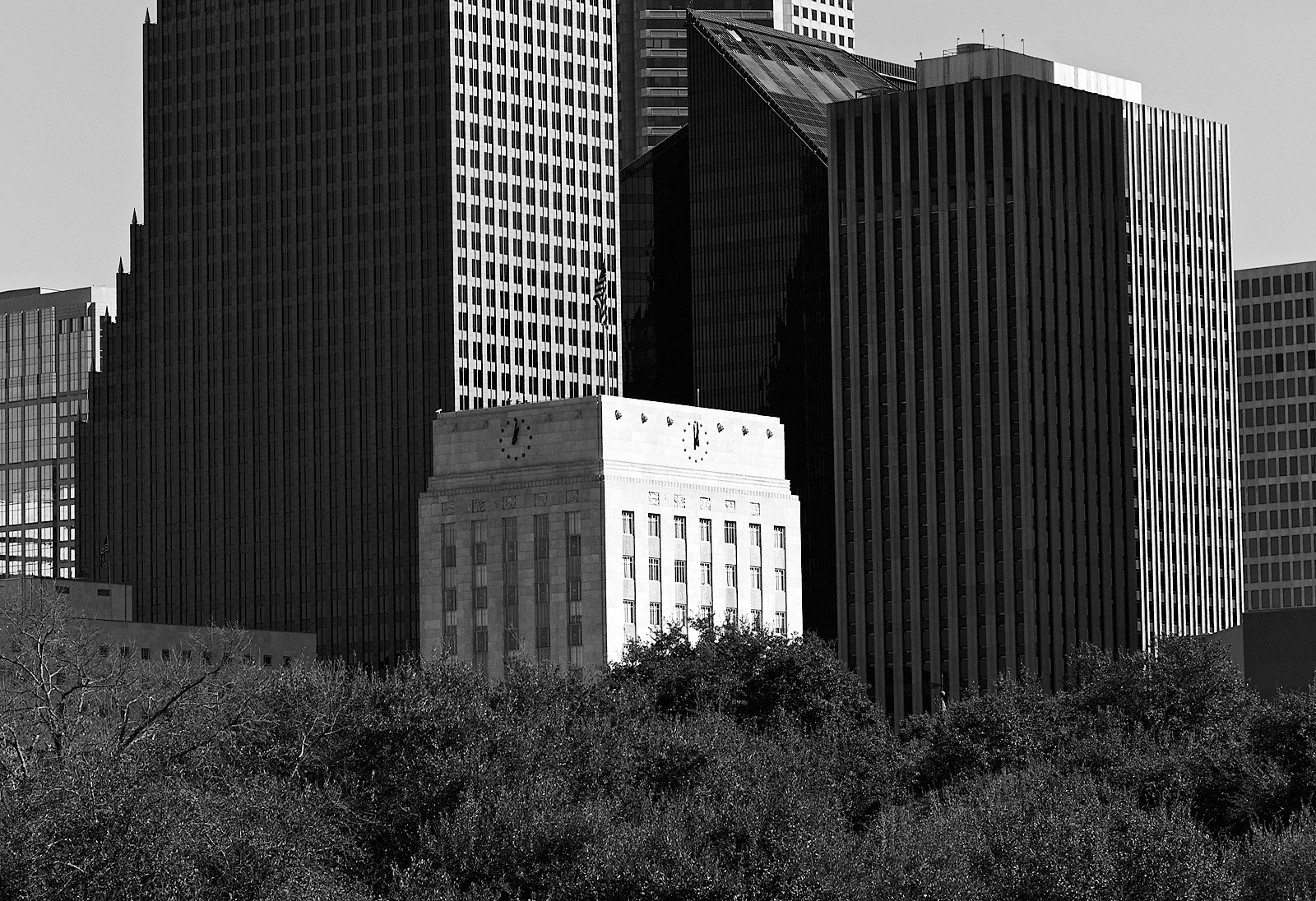City Hall from 45 N 01