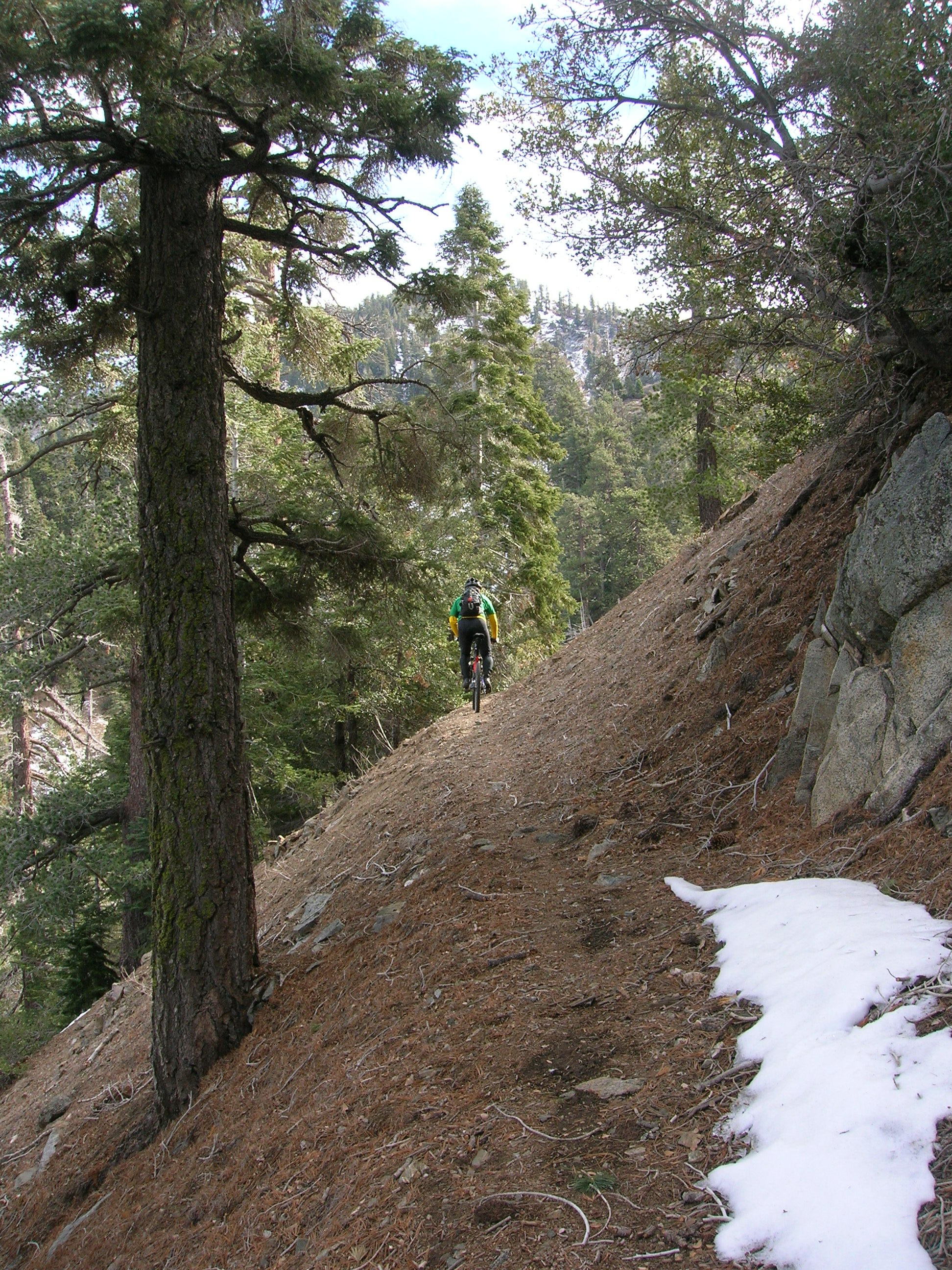 South Fork Trail - San Gabriel Mountains