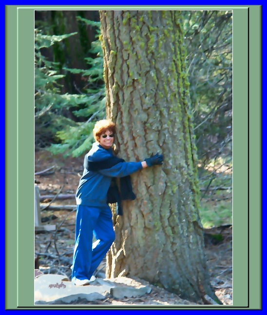 Painted Tree Hugger