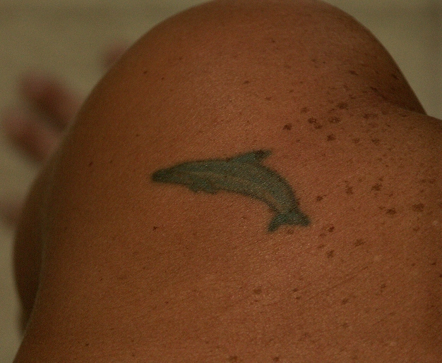Stacies Dolphin