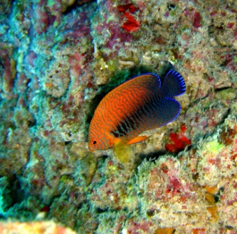 IMG_7887.JPG