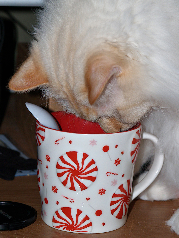 Milo, Turn the Spoon Around to Stir!!