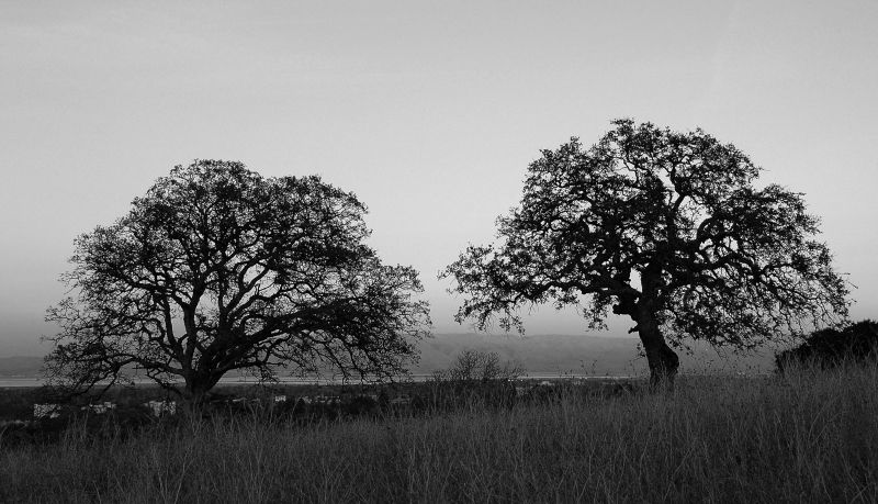 Standford Hills