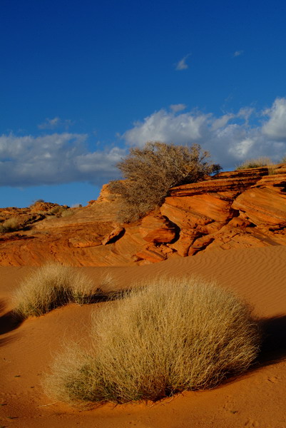 Views of Glen Canyon