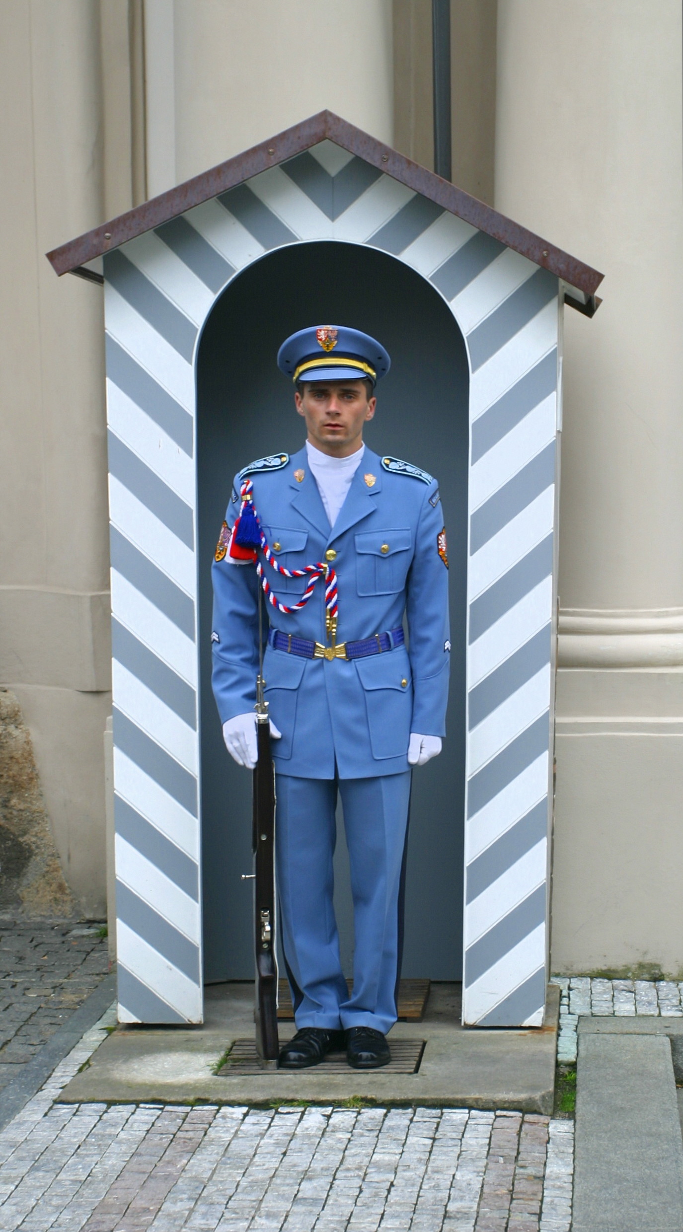 Castle Guard