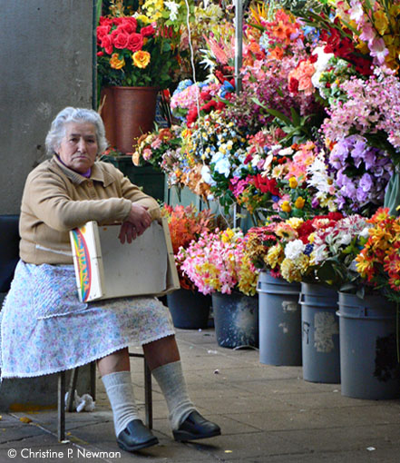 Flowers Are My Life