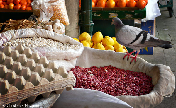 Too Much Choice (Red or White Beans?)