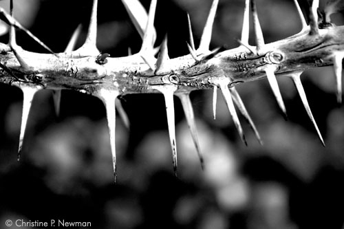 Baneful Fascination