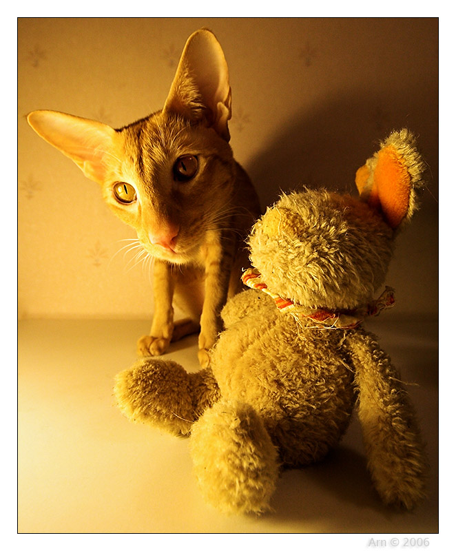 060113 Snickers and friend