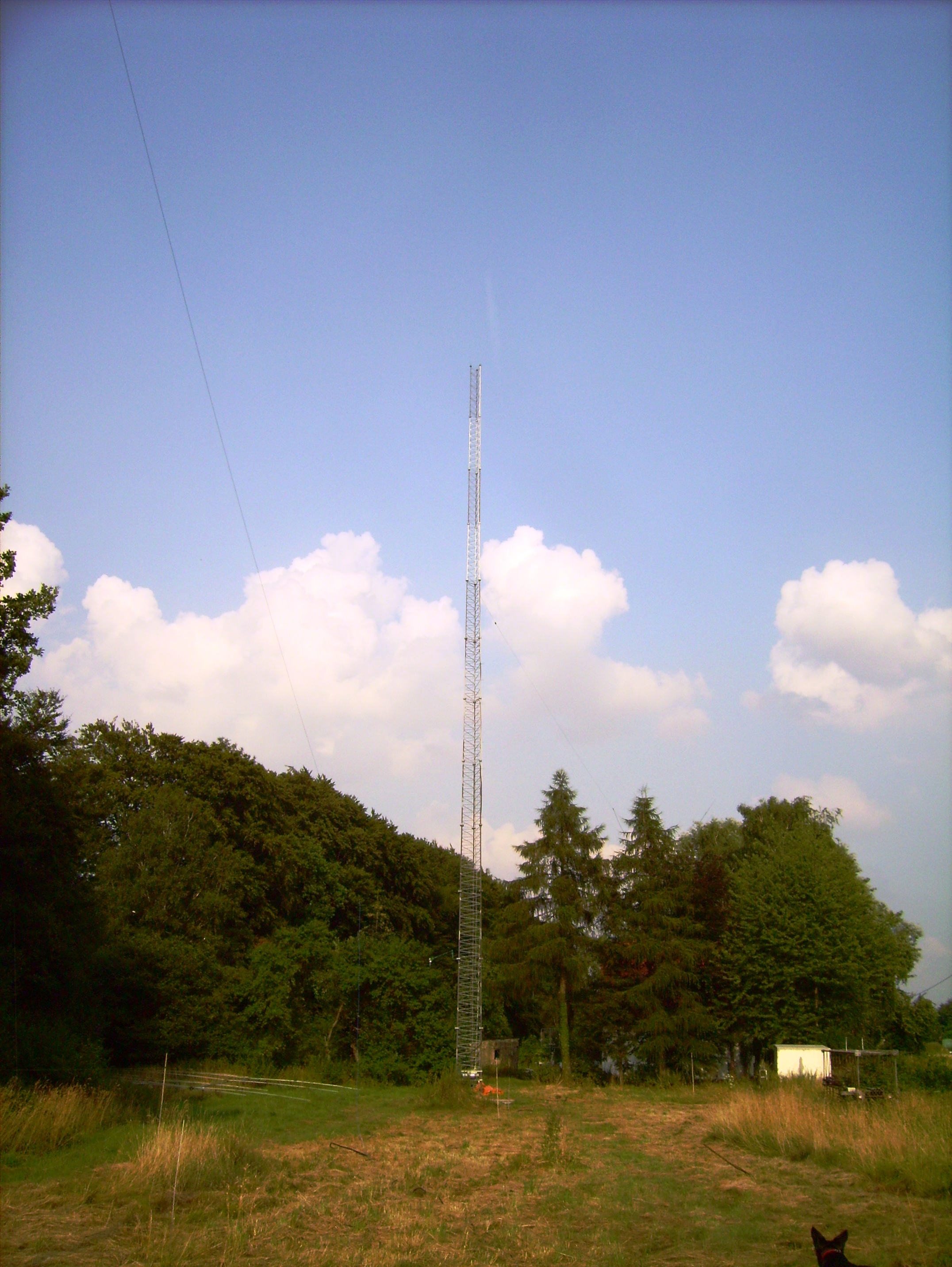 36m ready