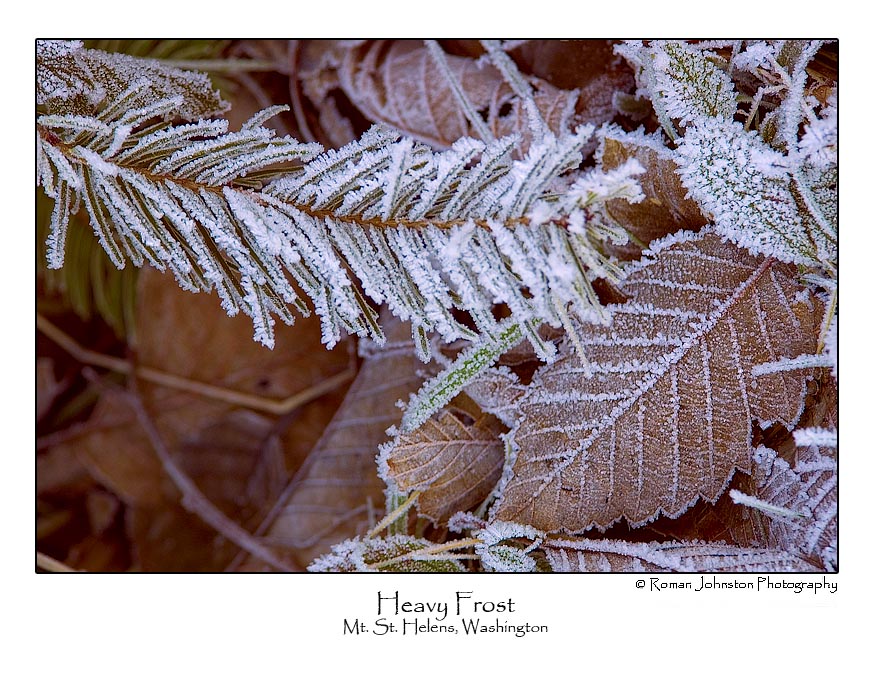 Heavy Frost.jpg