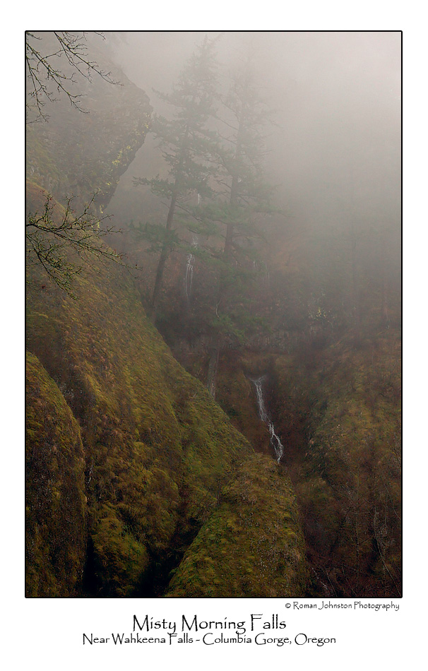 Misty Morning Falls.jpg (NFS)