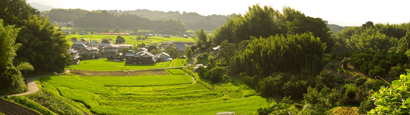 Nara Prefecture scene