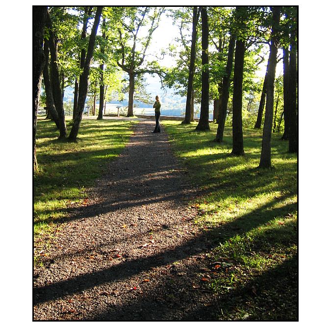 path to the mystic