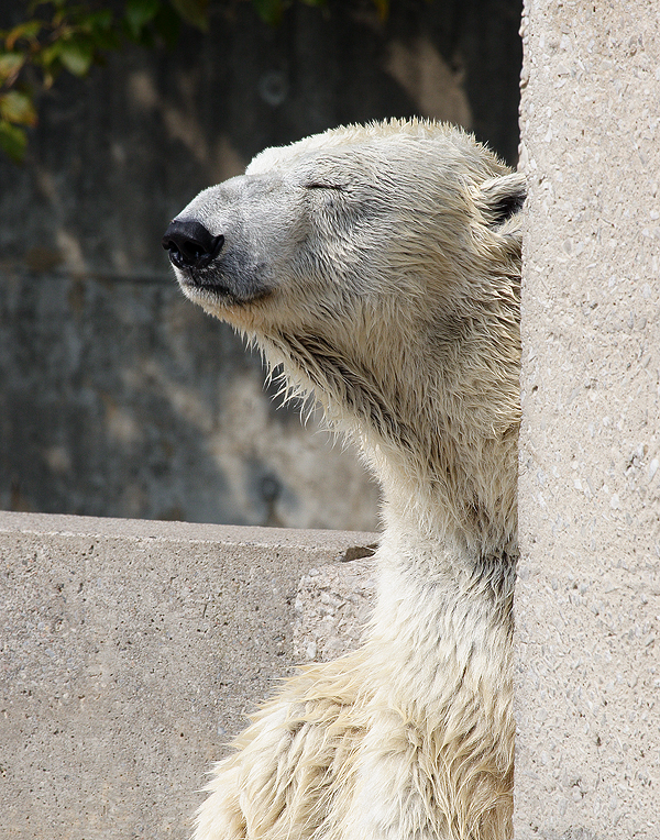 _MG_6728.jpg