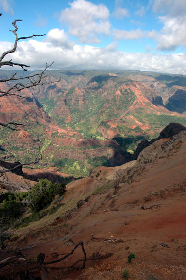 Waimea Canyon