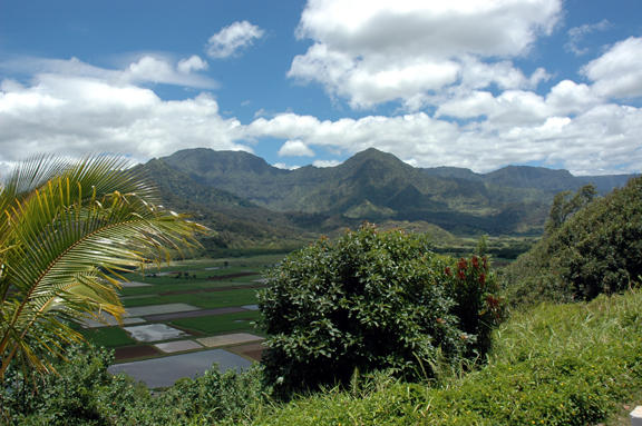 Windward side