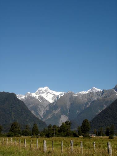 Fox Glacier