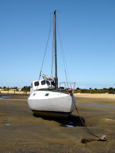 Marahau at low tide