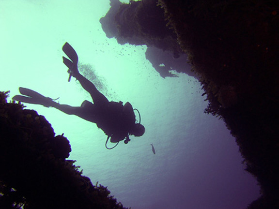 Eiko Maru Cargo Hold