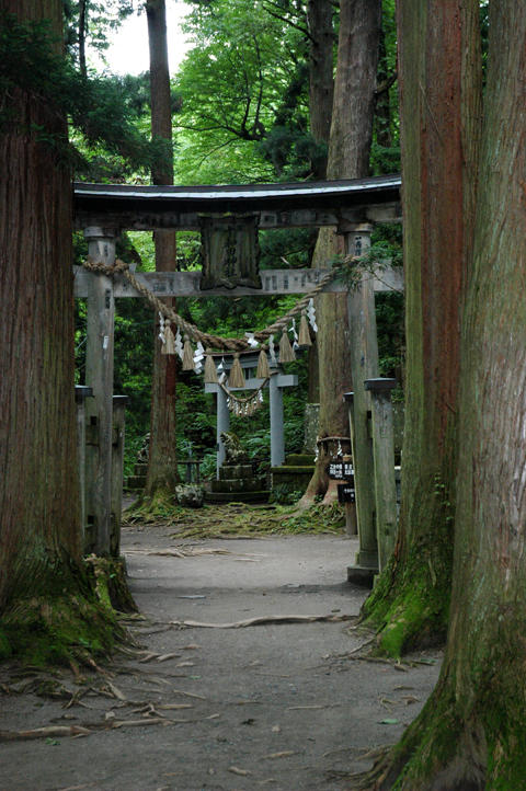 Towada Temple - Tori Gate
