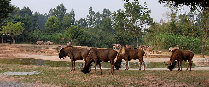 DSC_0425.JPG