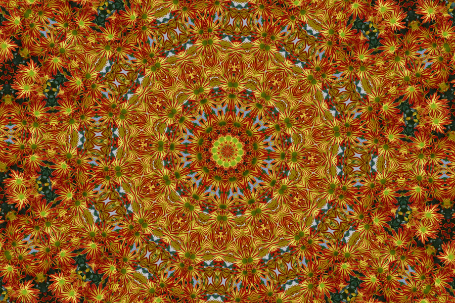 _MG_2330 Indian Fabric