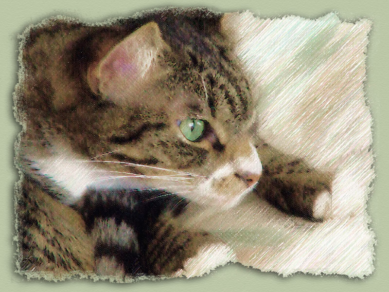 Louie with Virtual Painter Treatment