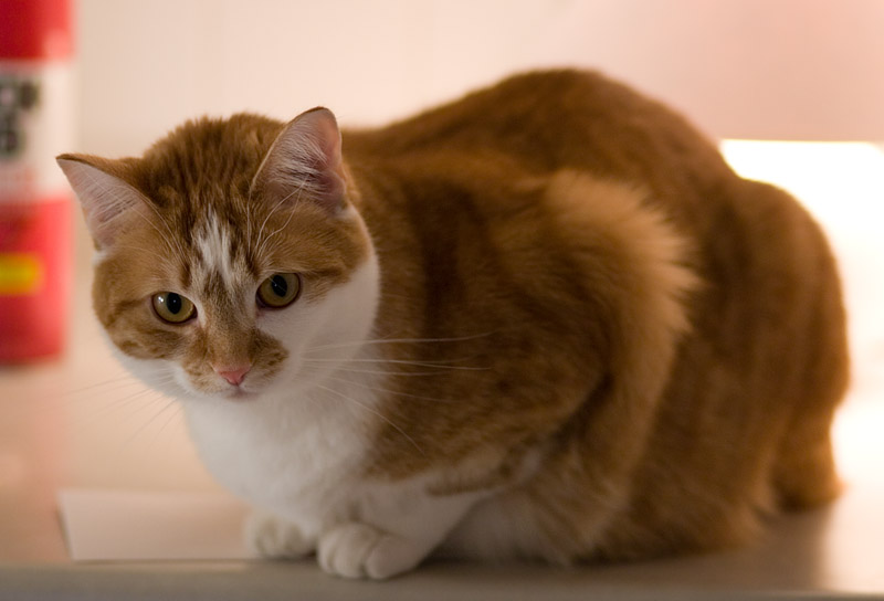 Love that big aperture!