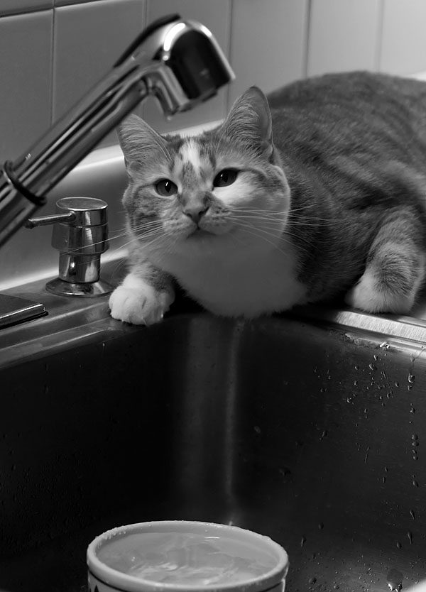 Wheres that water?