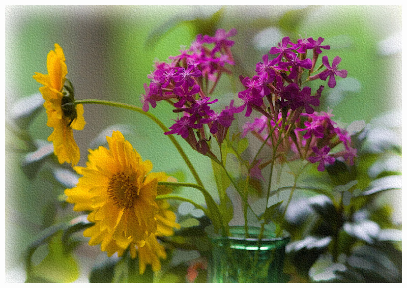 _MG_0248 Cut Flowers