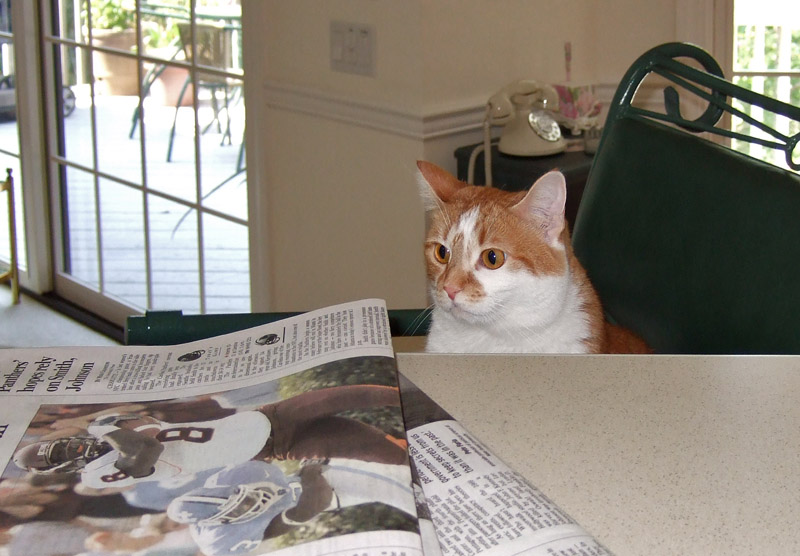 DSCF1414 Morning Paper