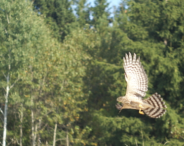o4/92/16792/1/121271967.tzBCncso.DSC05598tp.jpg