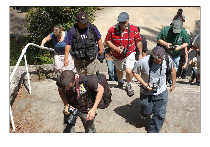 gang.jpg