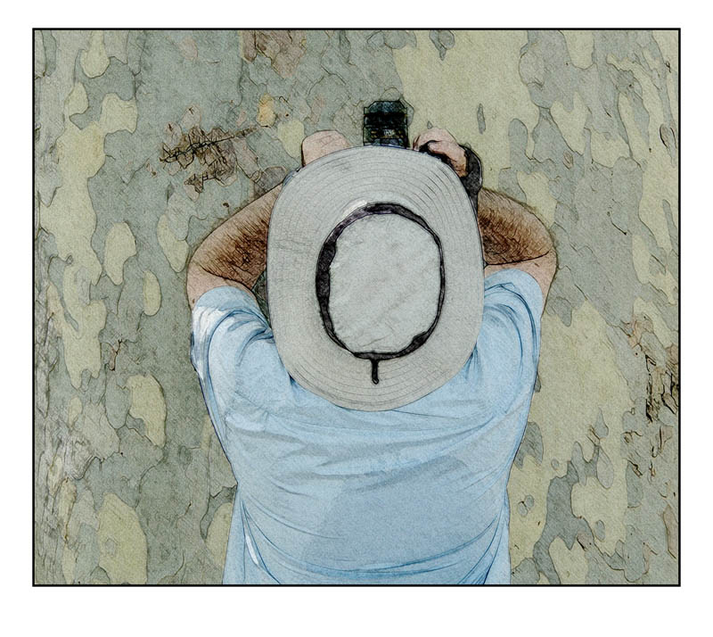 treehug2.jpg