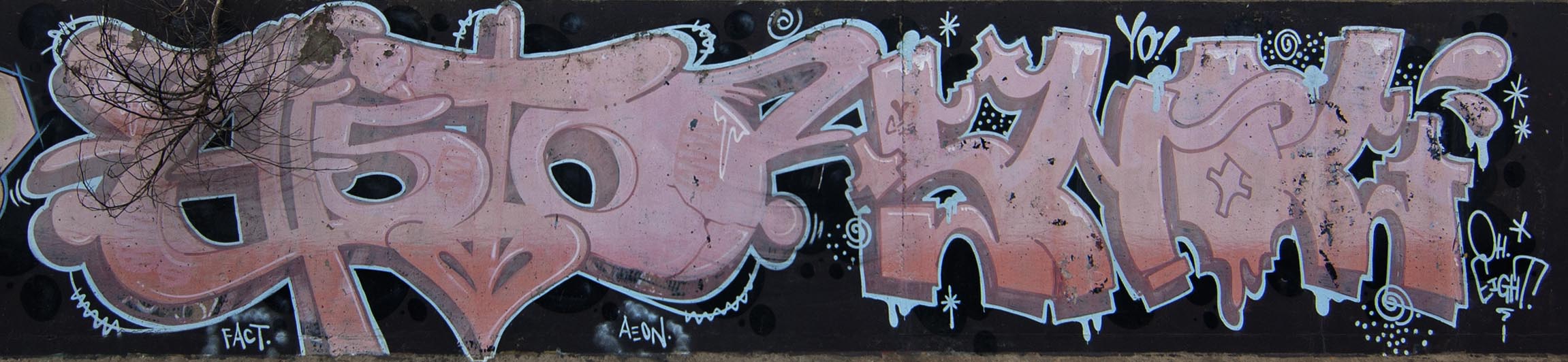 DSC_5492.jpg